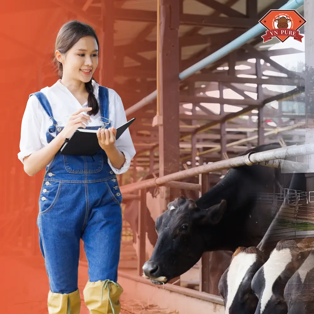 Điều Gì Làm Thịt Bò VN Pure Khác Biệt? Giải Pháp Tối Ưu Food Cost Cho HORECA TP.HCM