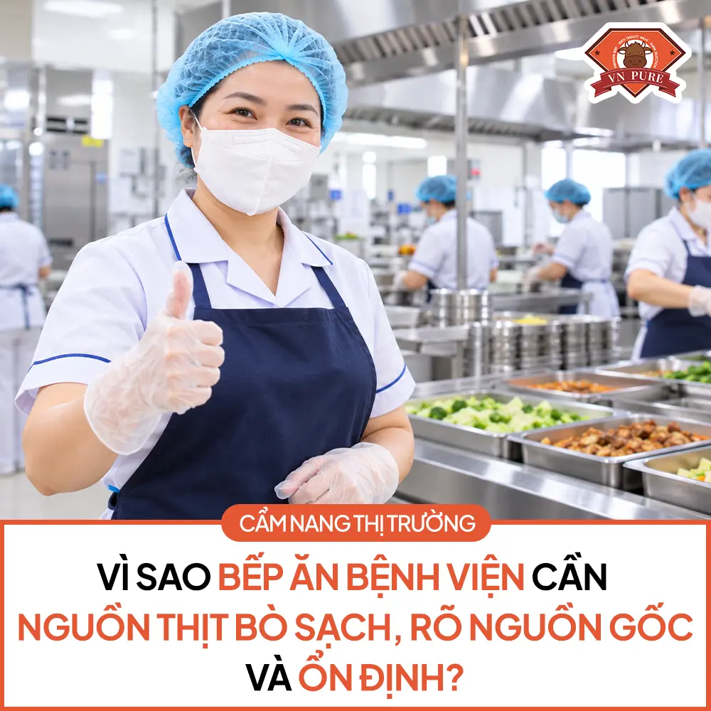 Vì Sao Bếp Ăn Bệnh Viện Cần Nguồn Thịt Bò Sạch, Rõ Nguồn Gốc & Ổn Định?