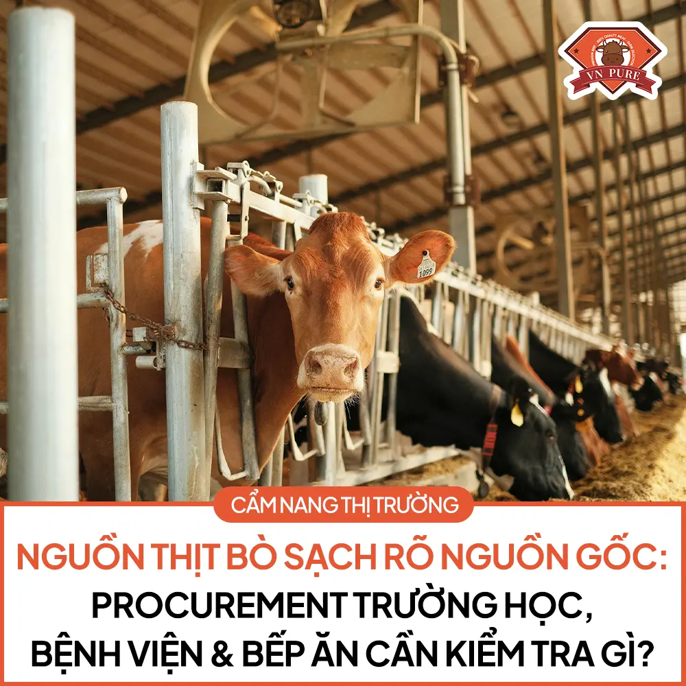 Nguồn Thịt Bò Rõ Nguồn Gốc: Procurement Trường Học, Bệnh Viện & Bếp Ăn Cần Kiểm Tra Gì?
