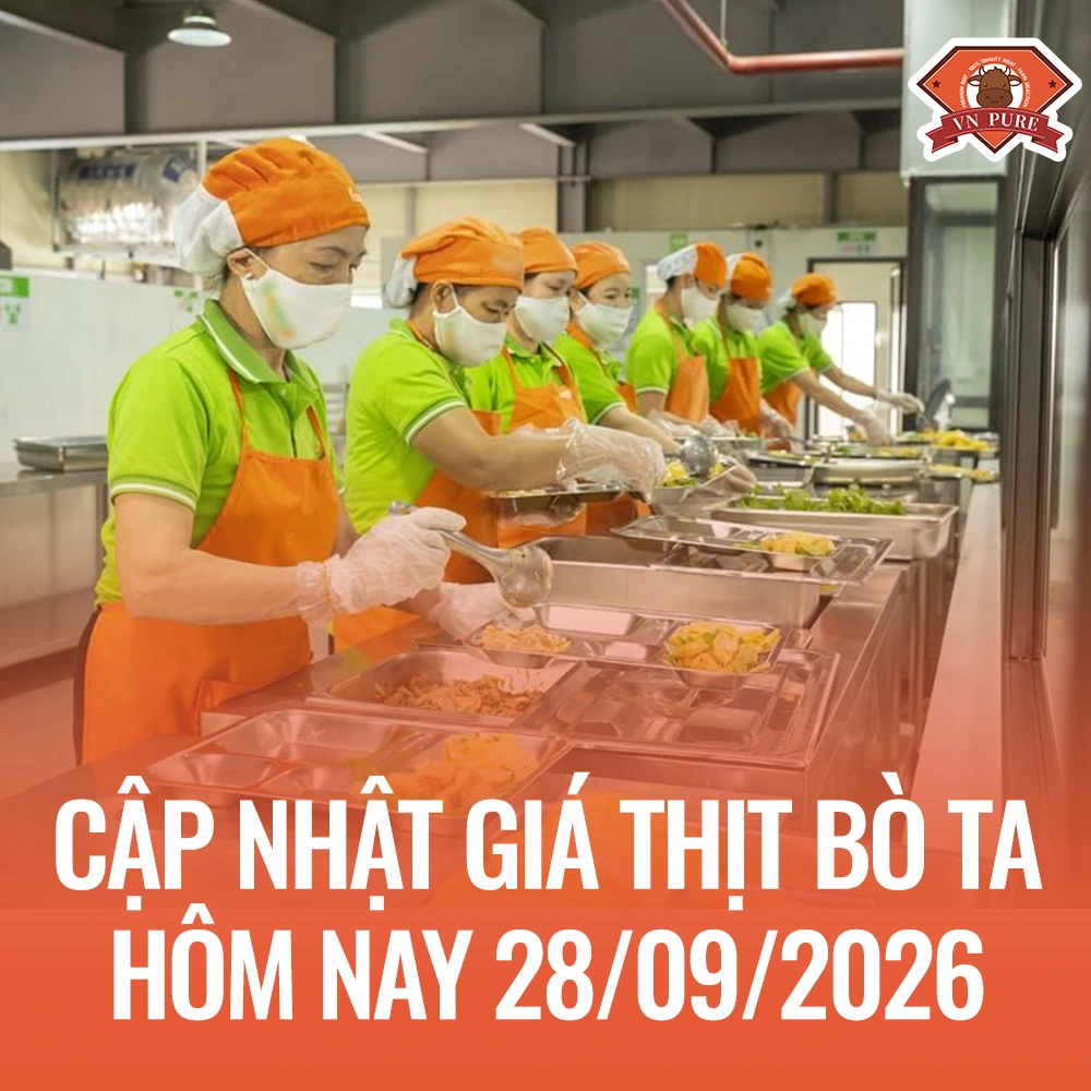 Cập nhật giá thịt bò ta ngày 29/09/2026: bắp, nạm, gân, thăn bao nhiêu 1kg? Phân tích chi phí sử dụng cho bếp ăn, suất ăn, catering và F&B.