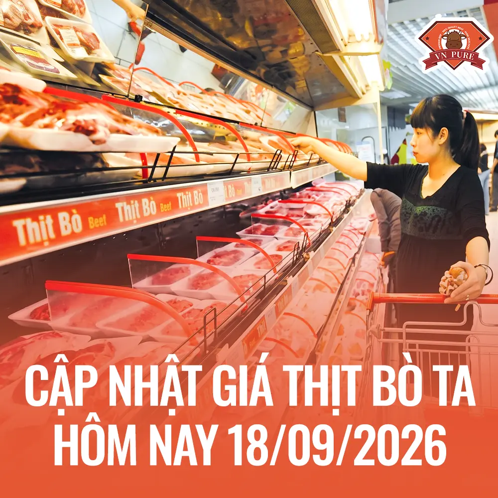 Giá Thịt Bò Ta Hôm Nay 18/09/2026: Bò Việt Nam Bao Nhiêu 1kg & Nên Chọn Phần Nào?